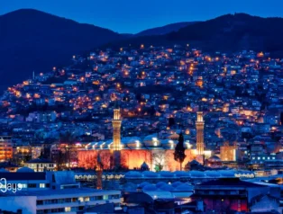 Tasarımda Güven Veren Renk ve Tipografi Seçimleri